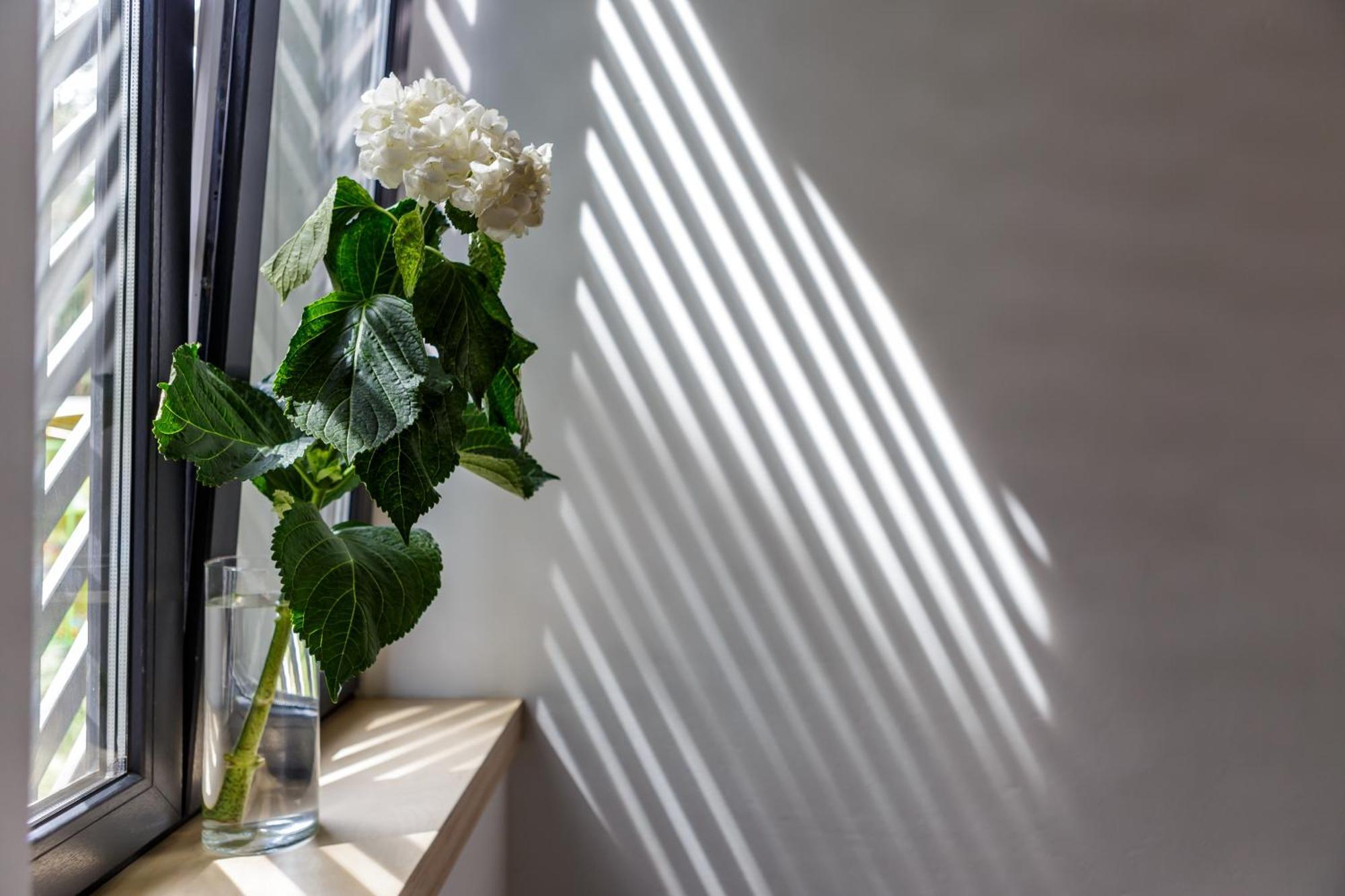 Melt In Palanga Apartment ภายนอก รูปภาพ